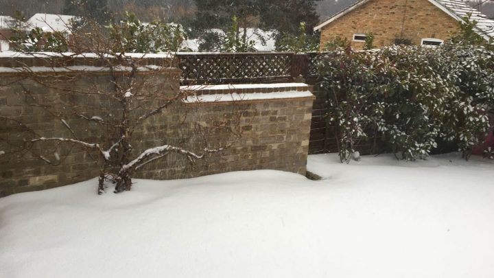 Snowy day at the Horsfield's