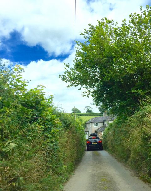 Cornwall country lane.